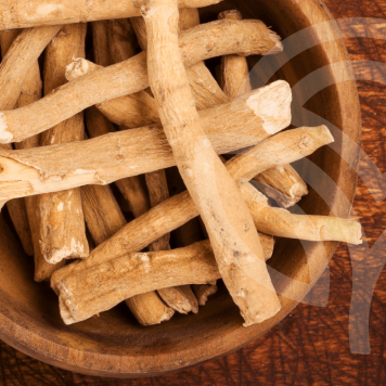 Ashwagandha NSP μοντέλο NSP 23072| Εικόνα Αρ. 1