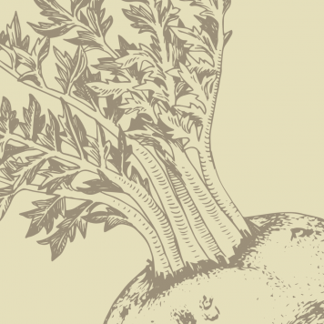 Boost NSP μοντέλο NSP 1121| Εικόνα Αρ. 1