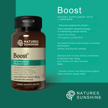 Boost NSP μοντέλο NSP 1121| Εικόνα Αρ. 3