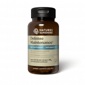 Αμυντική συντήρηση NSP