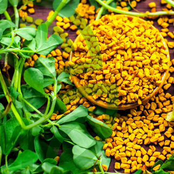 Fenugreek & Thyme NSP Fenugreek & Thyme NSP μοντέλο NSP 885| Εικόνα Αρ. 1