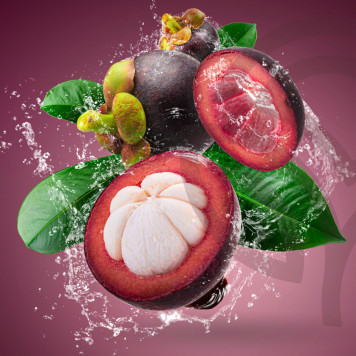 Zambroza NSP Zambroza NSP μοντέλο NSP 4104| Εικόνα Αρ. 2