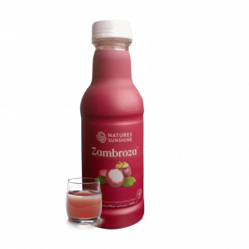 Zambroza NSP μοντέλο NSP 4104| Εικόνα Αρ. 1