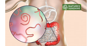 Πώς να νικήσετε τα παράσιτα και την καντιντίαση με ασφάλεια και φυσικό τρόπο: το πρόγραμμα NSP