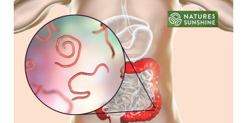 Πώς να νικήσετε τα παράσιτα και την καντιντίαση με ασφάλεια και φυσικό τρόπο: το πρόγραμμα NSP
