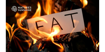 Γιατί το σώμα χρειάζεται λίπος; Ο ρόλος του λιπώδους ιστού στην τοξικολογική άμυνα