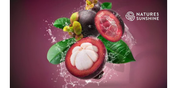 Μωβ ασπίδα: πώς το Zambroza ενισχύει την αγγειακή υγεία και επιβραδύνει τη γήρανση Μωβ ασπίδα: πώς το Zambroza ενισχύει την αγγειακή υγεία και επιβραδύνει τη γήρανση